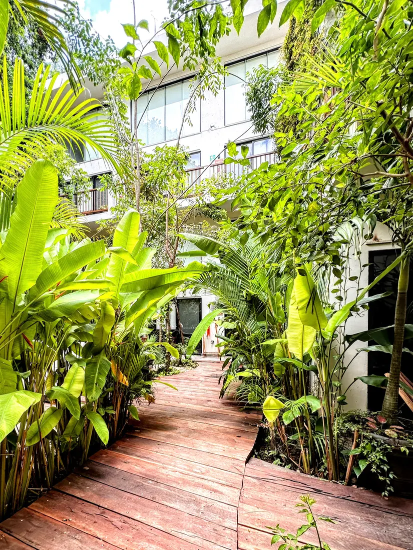 Fachada entre la Selva