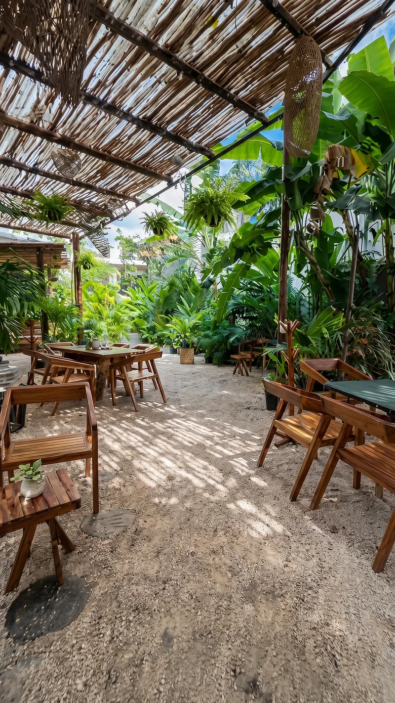 Cenotes cerca de Bacalar: Guía completa con ubicaciones y precios 2026 — Yaakun Bacalar